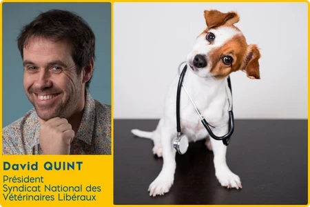 Être vétérinaire libéral aujourd’hui : entre mutations profondes et défis générationnels